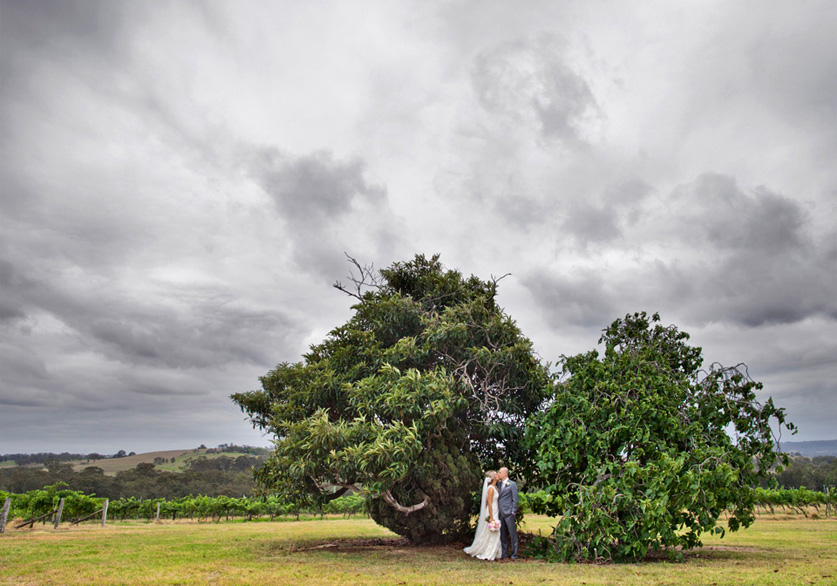 Bride Groom Vineyard, Hunter Valley Wedding by Brisbane Wedding Photographers, Kwintowski Photography