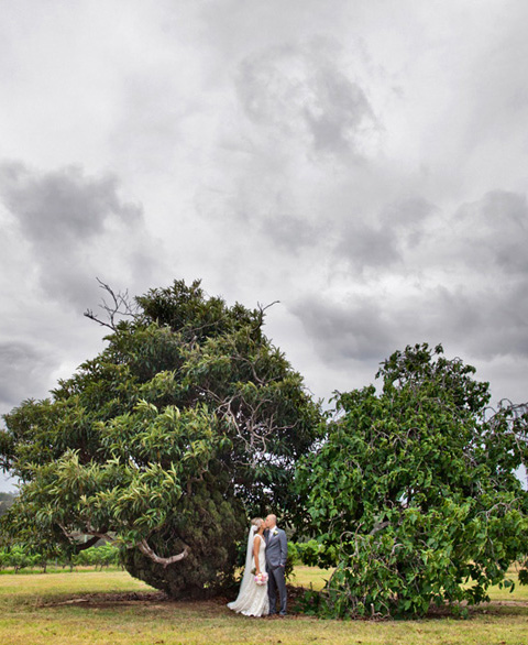 Vineyard Tree, Hunter Valley Wedding by Brisbane Wedding Photographers, Kwintowski Photography