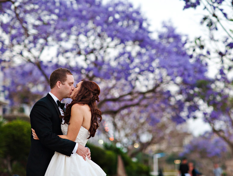 Jacarandas, Brisbane Wedding Photographer